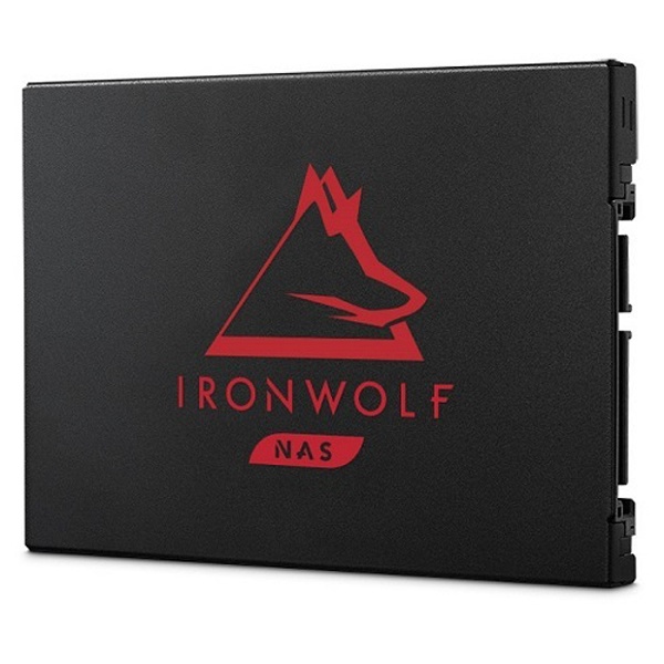 IRONWOLF 125 SSD 500GB TLC