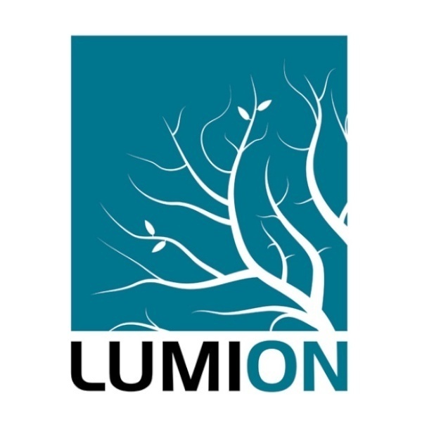 Lumion 12 루미온 12 프로 Pro [기업용/영구사용/ESD] [Professional]