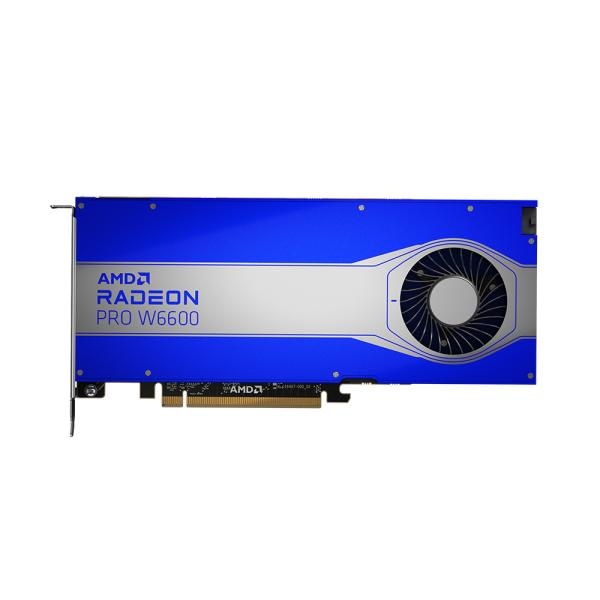 Radeon™ PRO W6600 D6 8GB 블루존