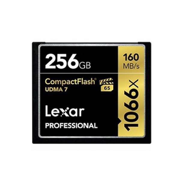 CF Professional 1066X [256GB] (타입B, 160MB/s, 155MB/s, 보증기간 평생)