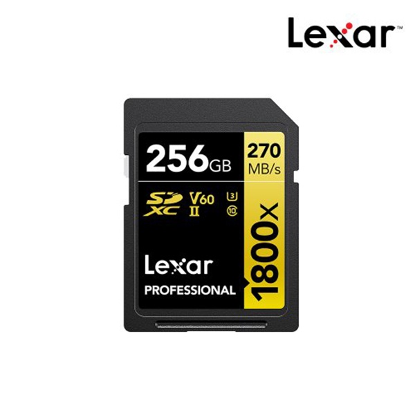 SD Professional 1800X UHS-2 256GB