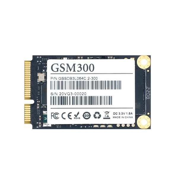 GSTON GSM300 mSATA 256GB TLC
