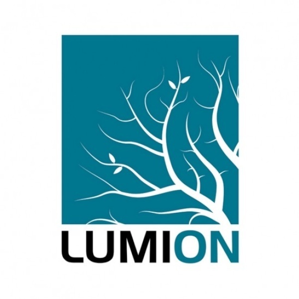 Lumion 2023 Professional 루미온 프로 Pro [기업용/라이선스/3년]