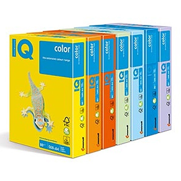 IQ Color A4 색상지 80g (50매)