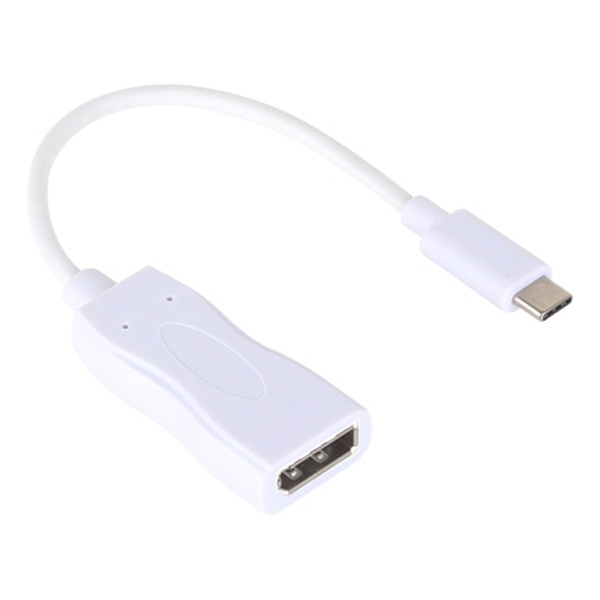 PnK USB Type-C to DisplayPort 컨버터, 오디오 미지원 [P218A] [화이트]