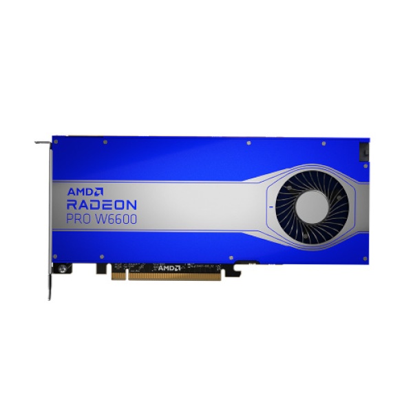 Radeon™ PRO W6600 D6 8GB 대원CTS
