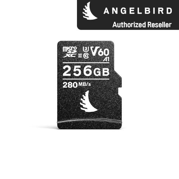 AV PRO microSD V60 [256GB]