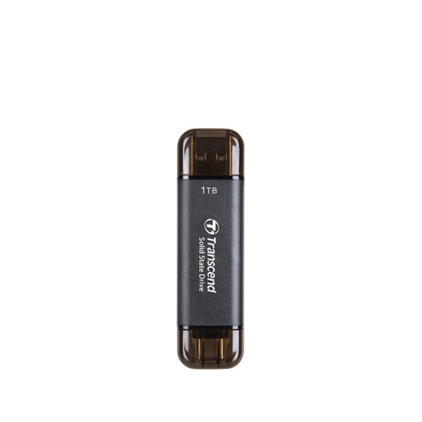 외장SSD, ESD310 Portable [USB3.1] 1TB [1TB/블랙]