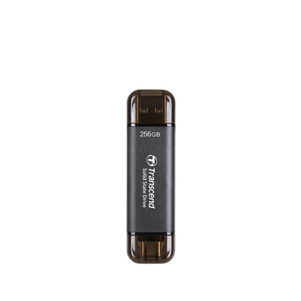외장SSD, ESD310 Portable [USB3.1] 256GB [256GB/블랙]