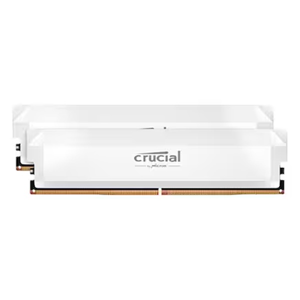 Crucial DDR5 PC5-48000 CL36 PRO Overclocking White 대원씨티에스 [32GB (16GB*2)] (6000) ★ 단독할인 ★