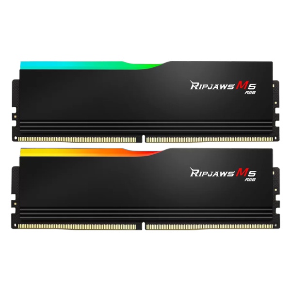 DDR5 PC5-51200 CL32 RIPJAWS M5 RGB 블랙 [96GB (48GB*2)] (6400)