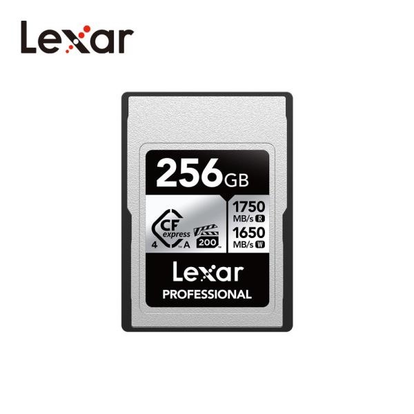 렉사 A타입 실버 1750/1650MB 256GB