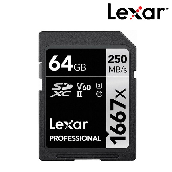 렉사 SDXC Professional 1667X 64GB